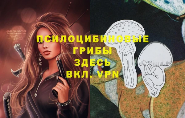 стафф Абдулино