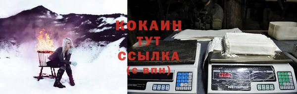 винт Мегион