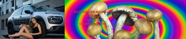 стафф Абдулино