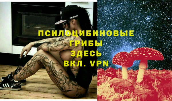 стафф Абдулино